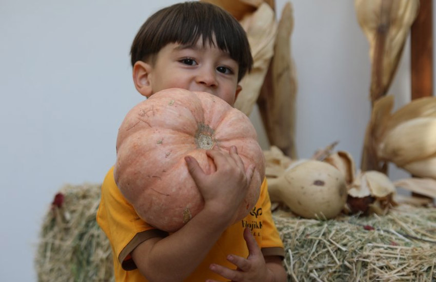 Küresel Farkındalık Atölyesi